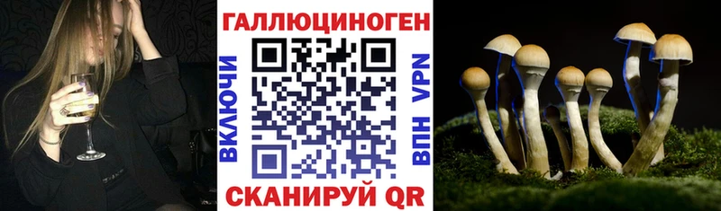 Купить закладки  Райчихинск  Галлюциногенные грибы Cubensis 
